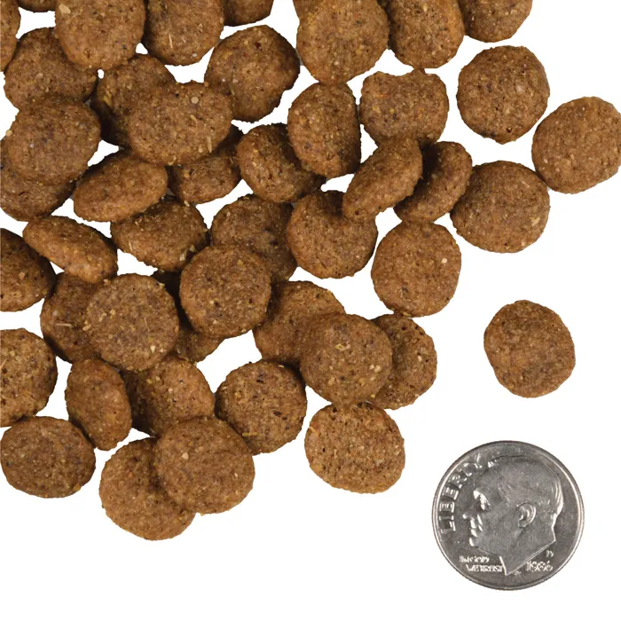 Fromm Gold Reduced Activity & Senior kibble size sample